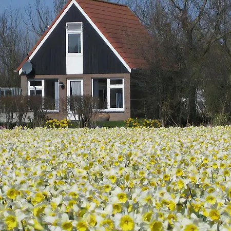 V-61 Klein Axel De Cocksdorp (Texel)